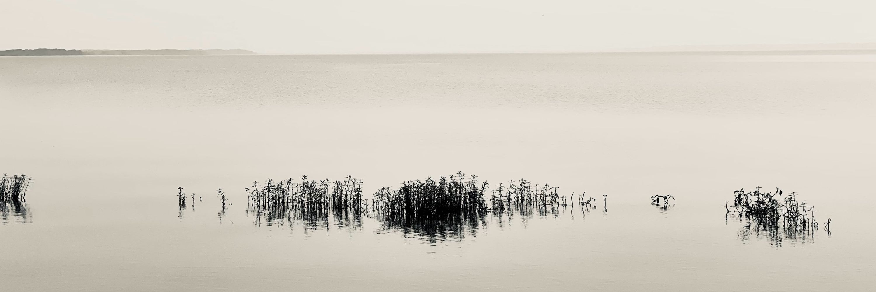 Elizabeth Wilder Photography