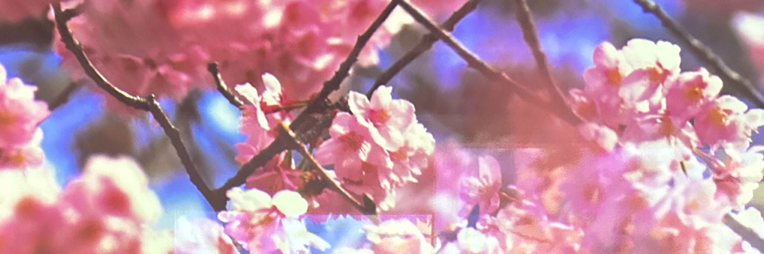 な