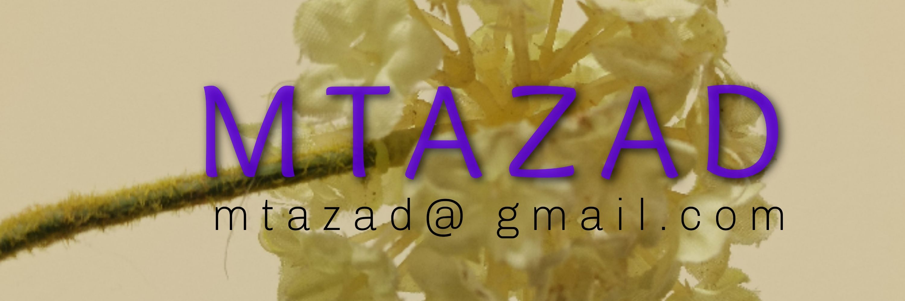 Muhammad Taufiq Azad