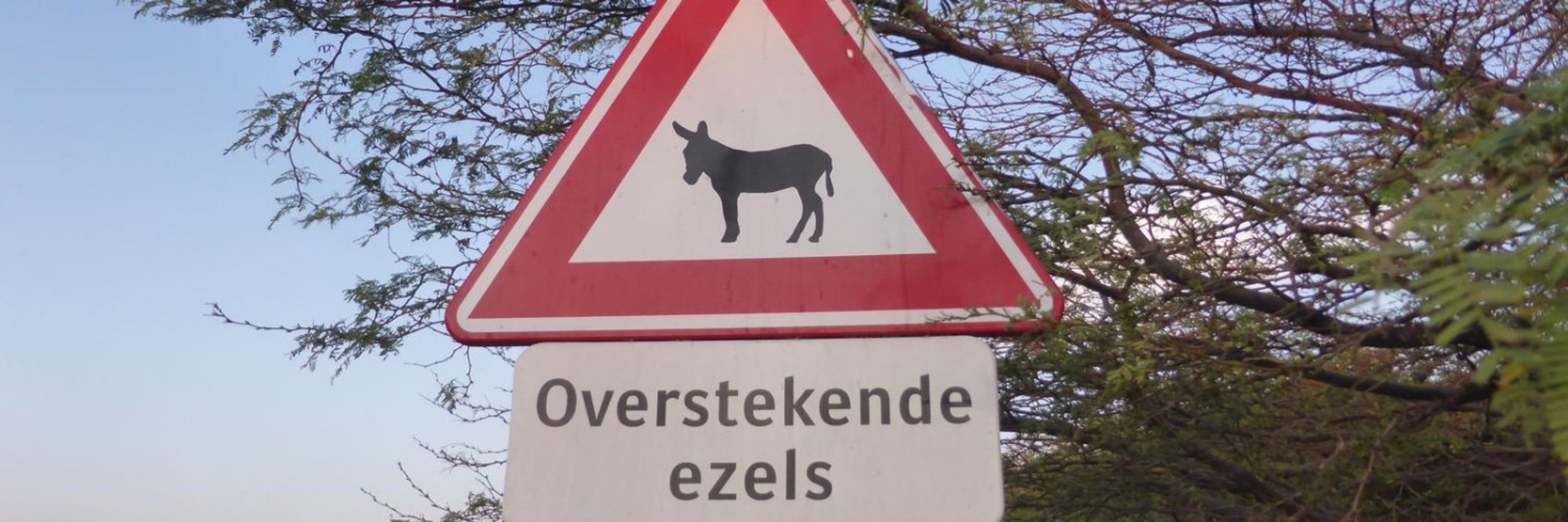 Assistentin