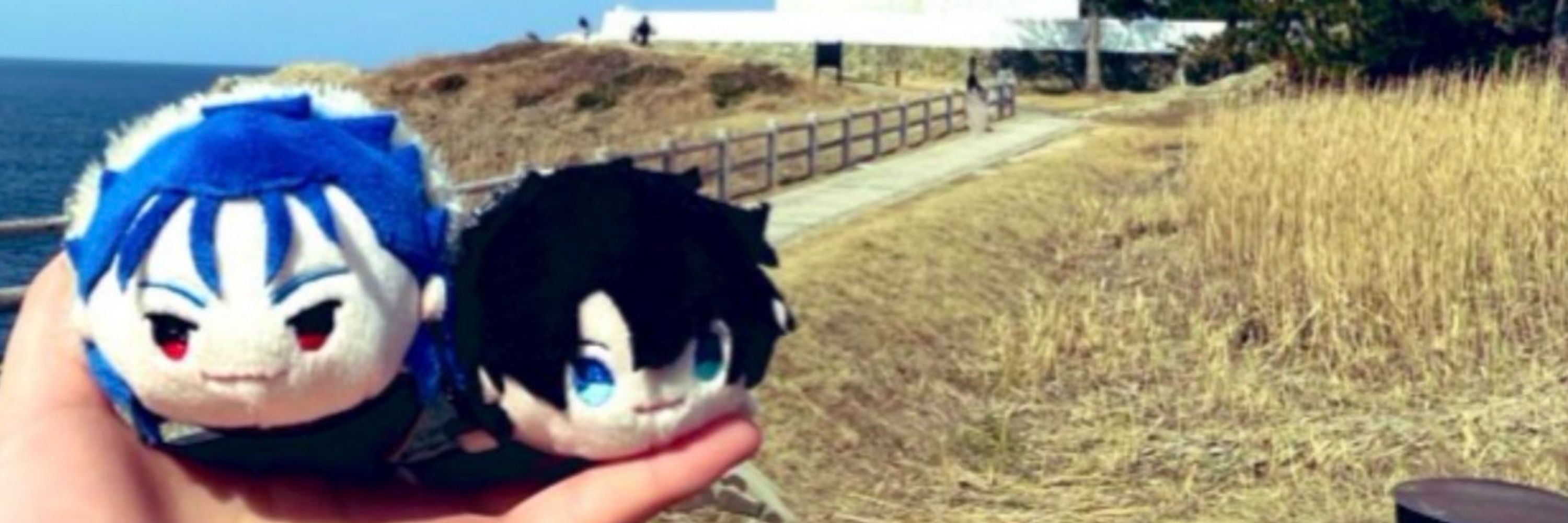 フォグ