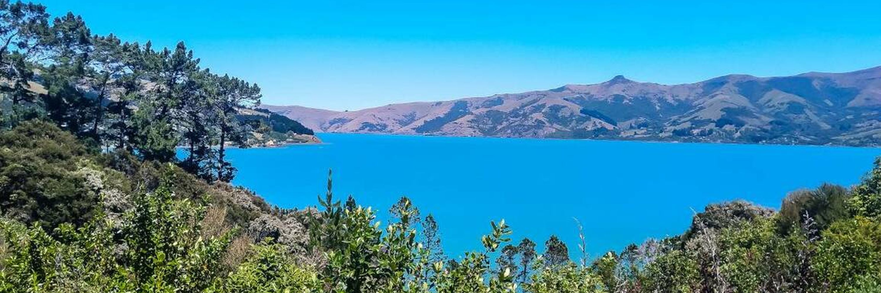 Marty | 123NZ & TravelGeek