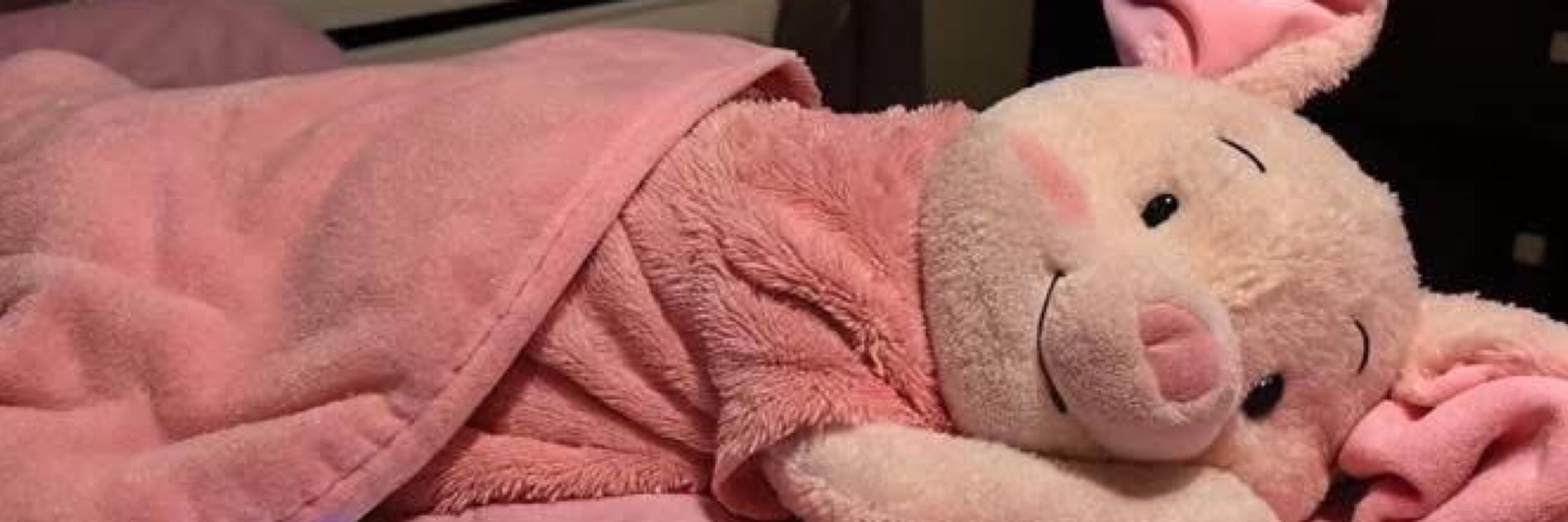 Piglet🐽