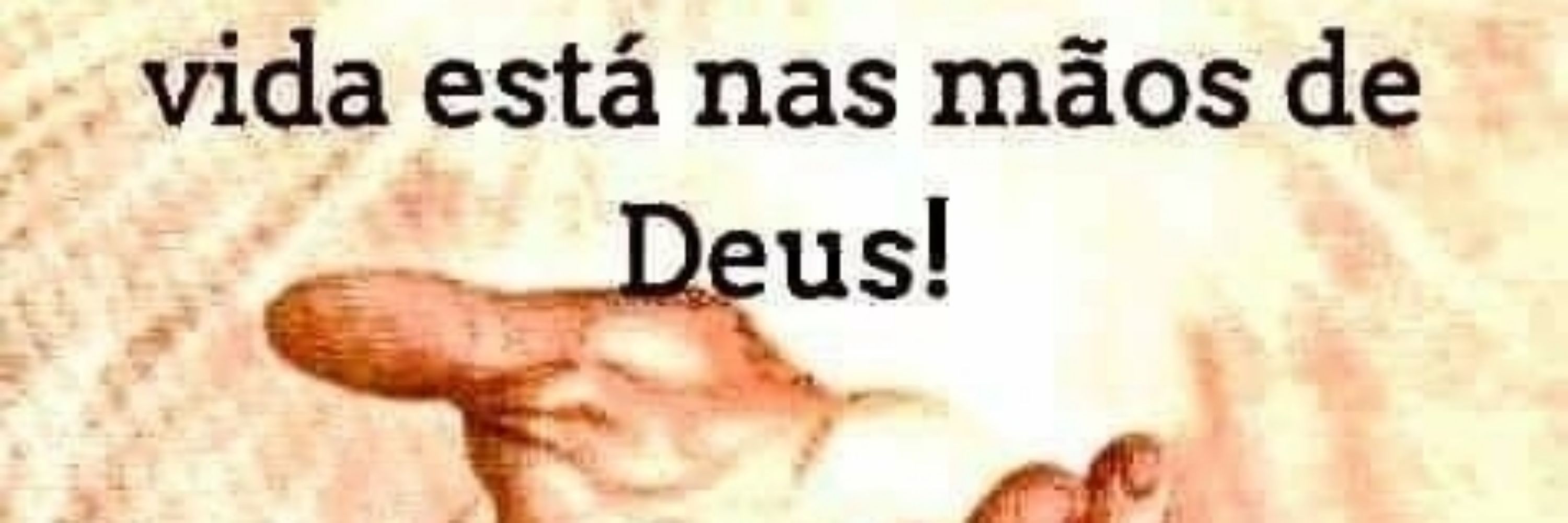 nn gosto do gusttavo