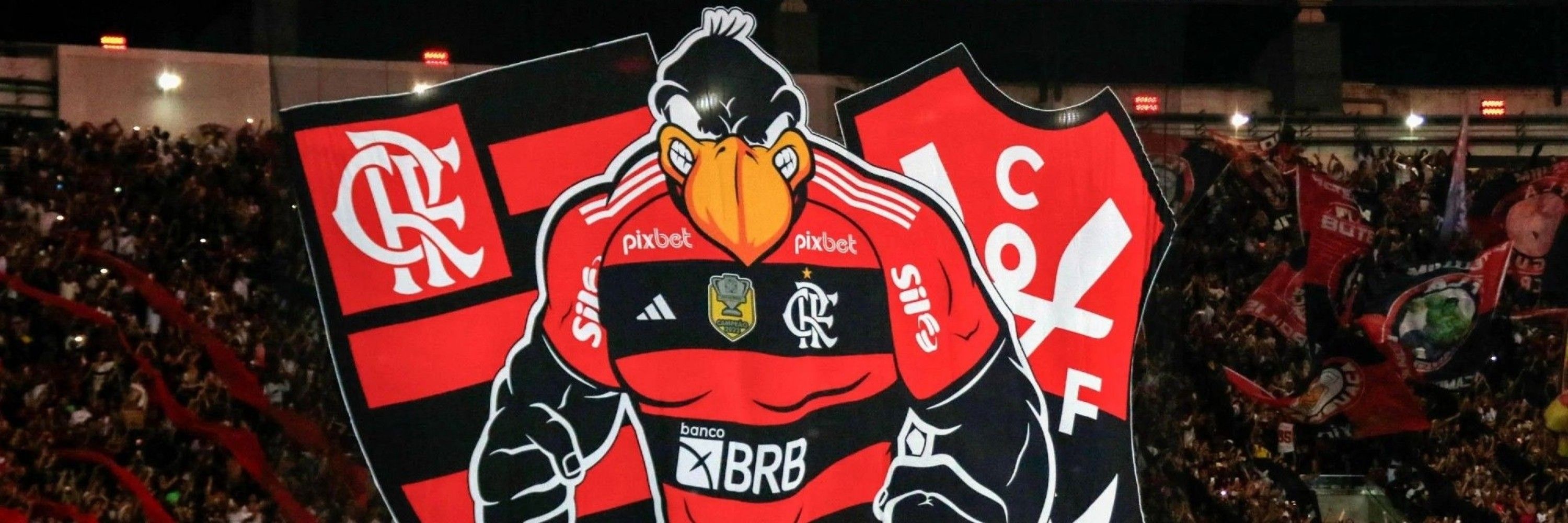 Ellenᶜʳᶠ 81, 19, 22 🇦🇱