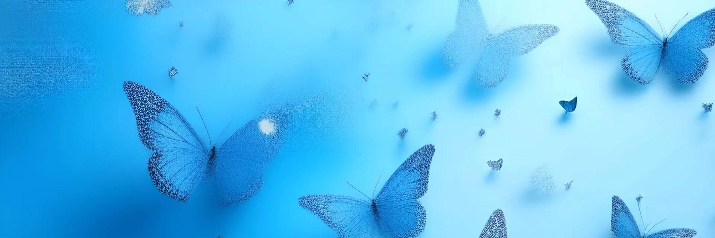 B 🦋