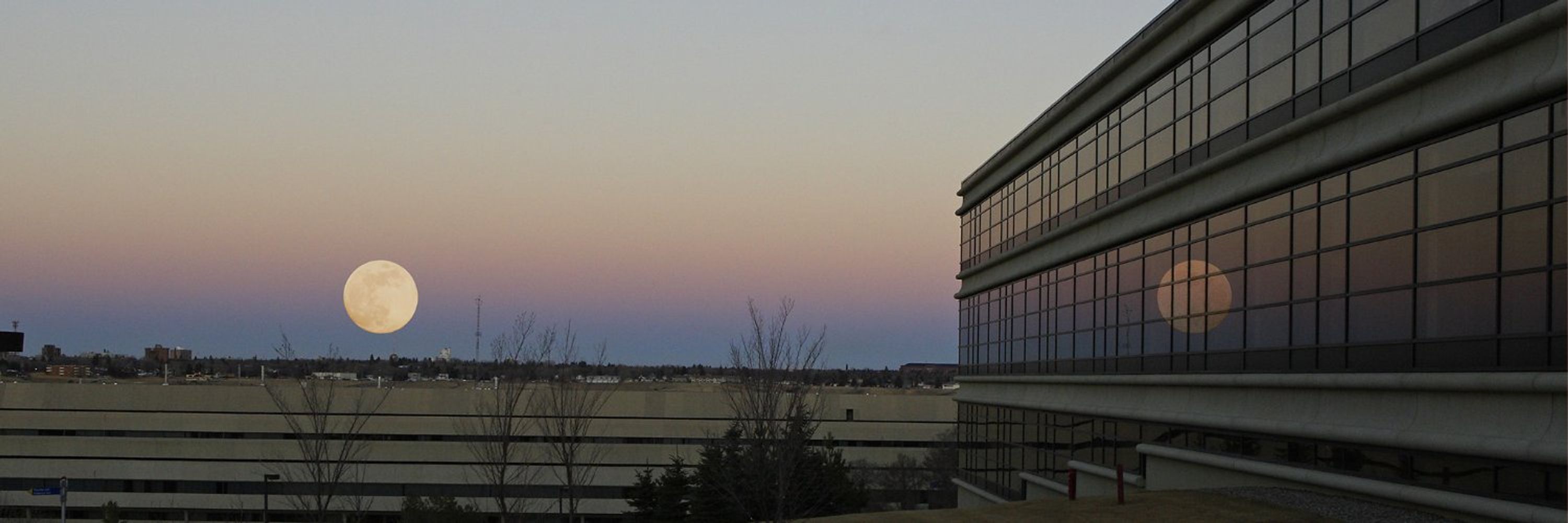 University of Lethbridge Library
