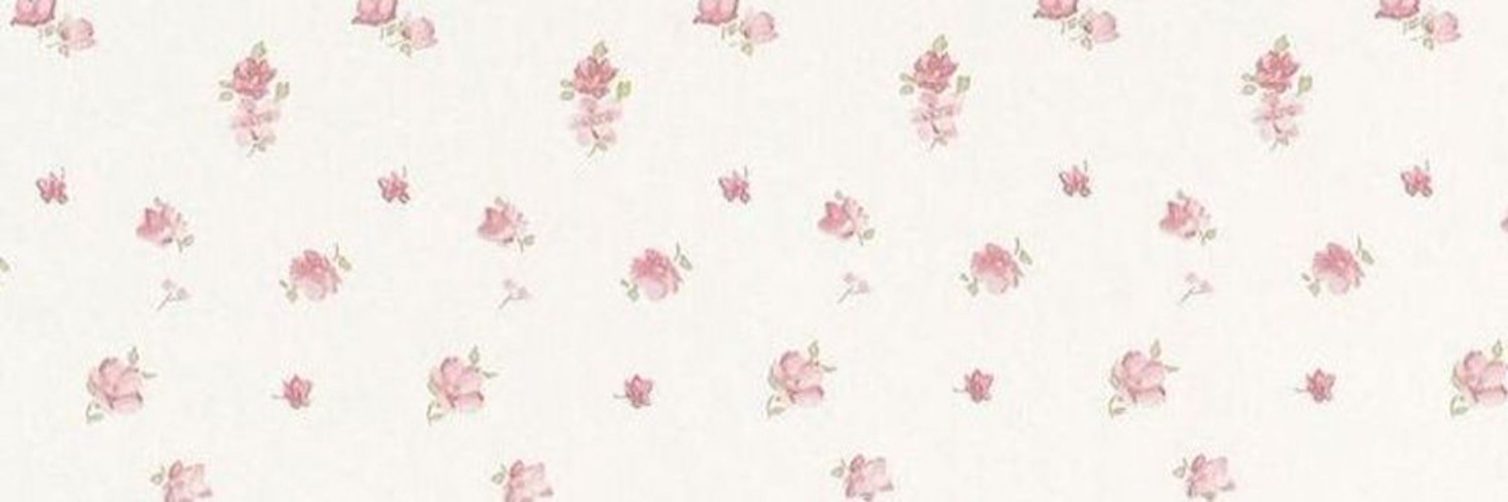 𖦁ׅ ࣪ ׂ 𝐚𝐦𝐨𝐫 ៵ 🐇 ࣪ ִֶָ ⋆
