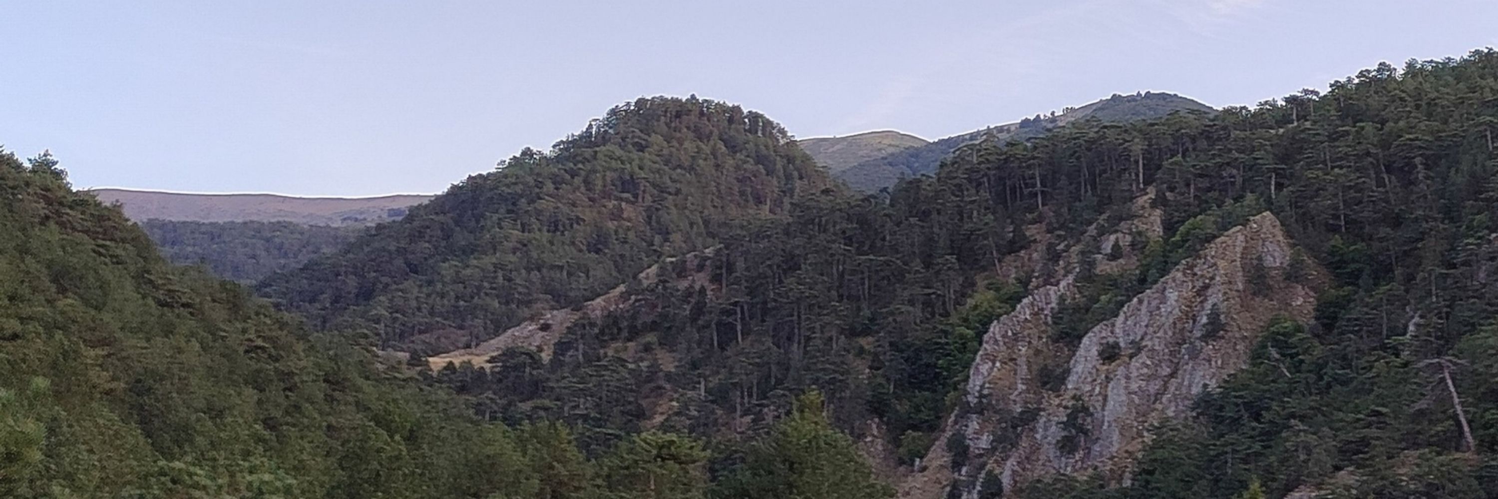 Tuğçe Uçar