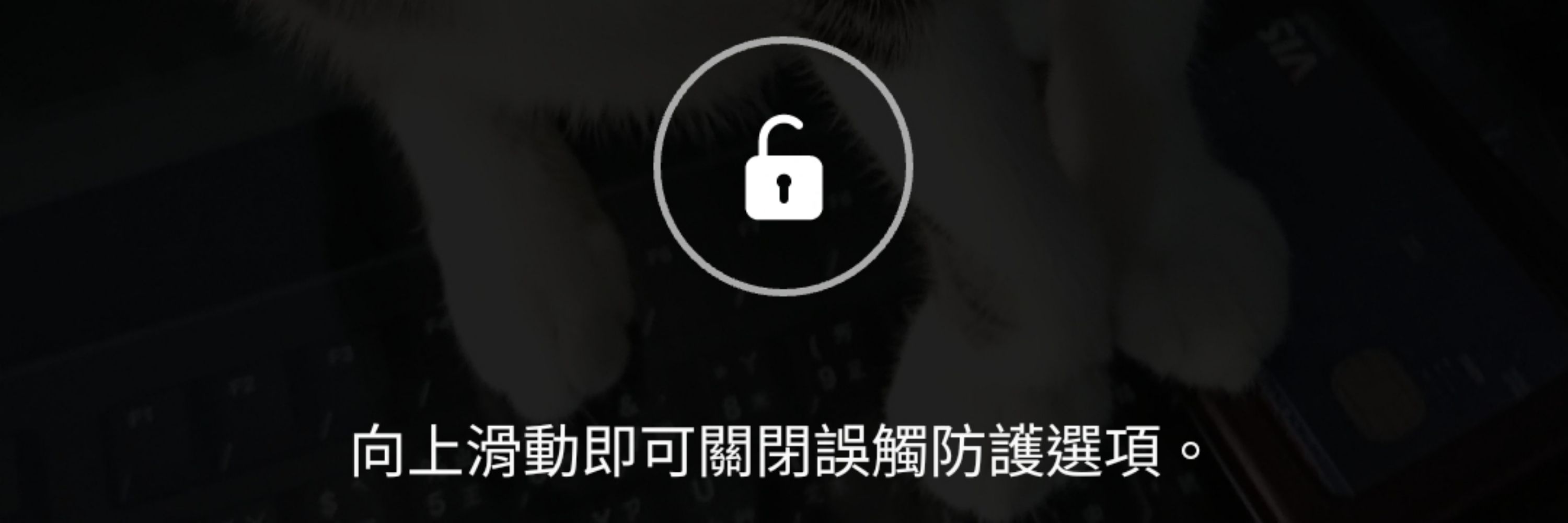 楊麵包