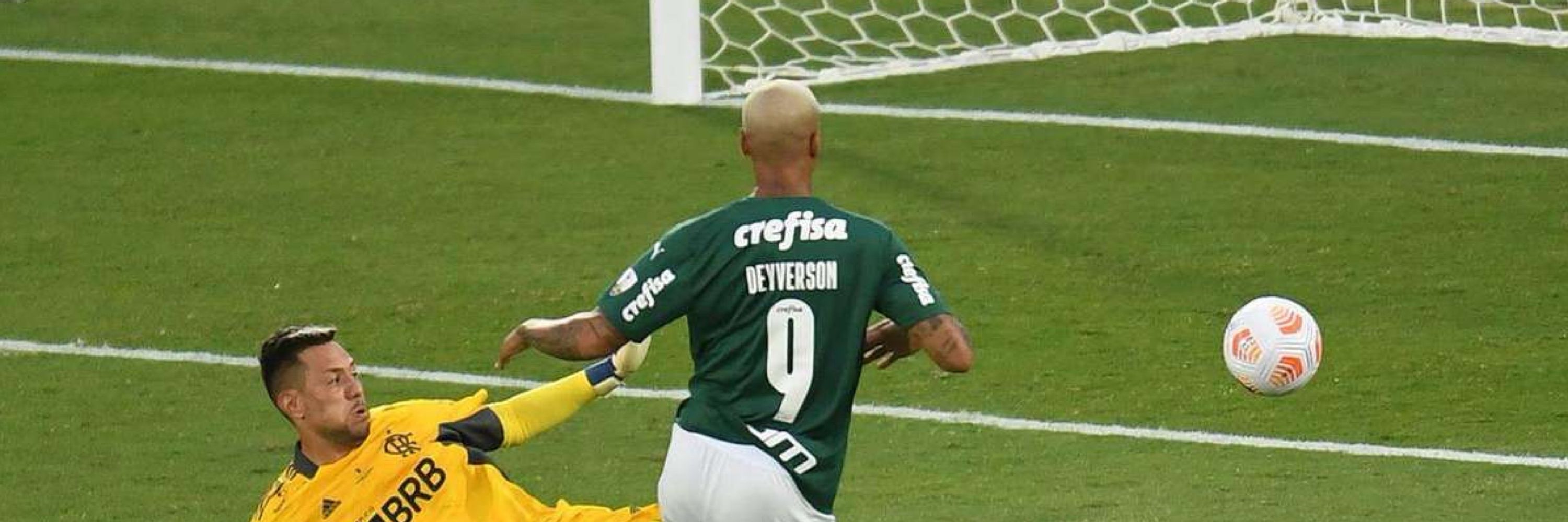 Palmeiras SEmPre