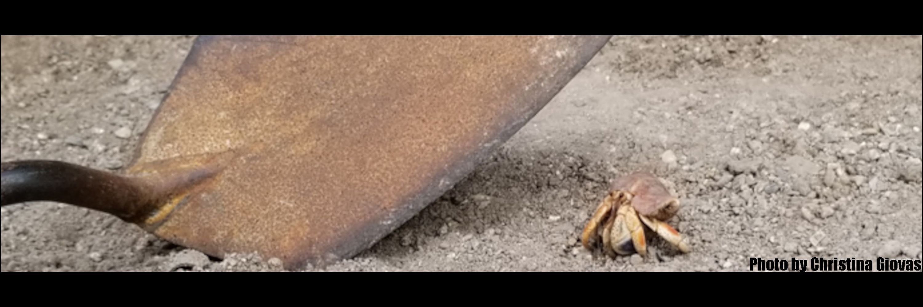 SFU Archaeology