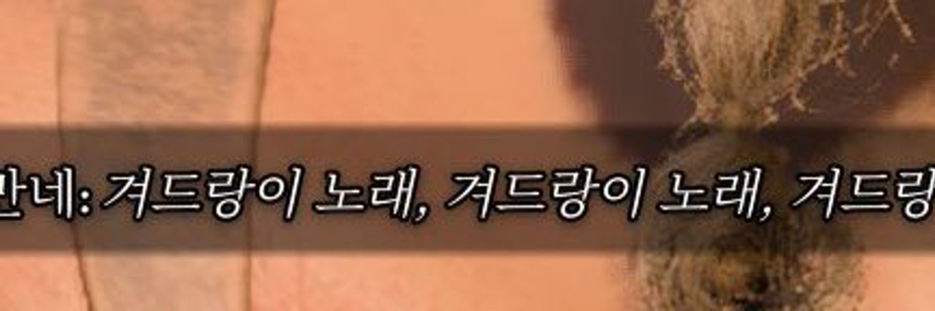 토 겨