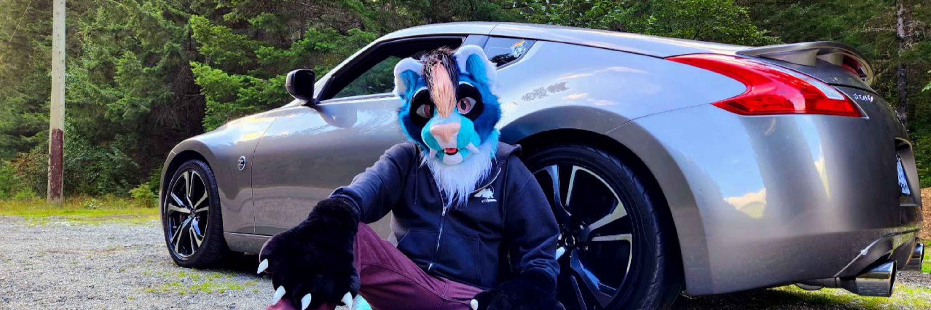 The Boxxiest of Foxes