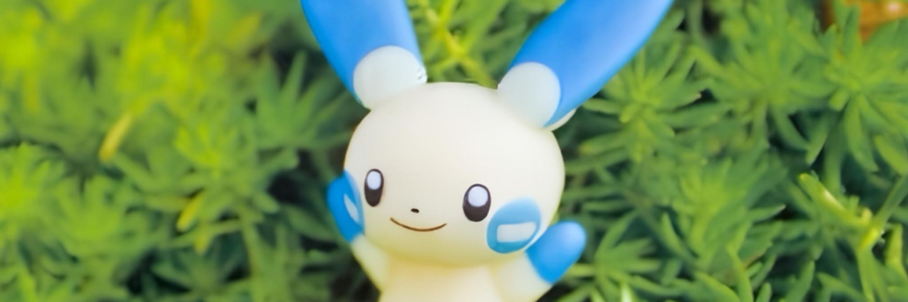 beans