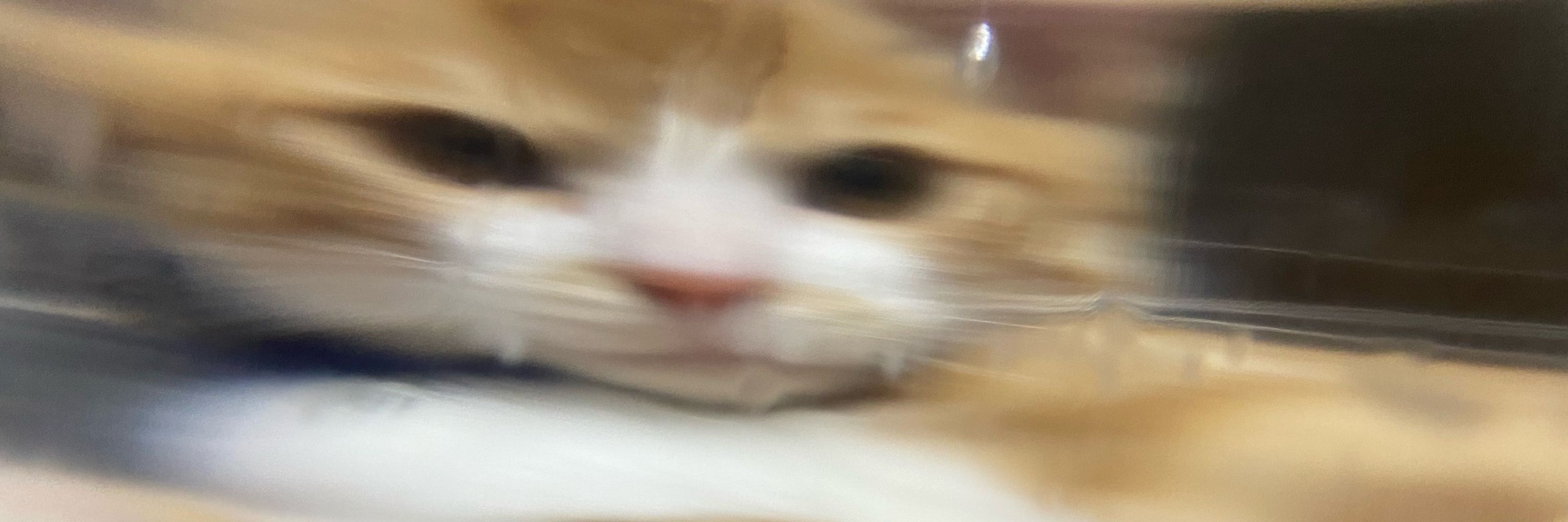 ゆーやん
