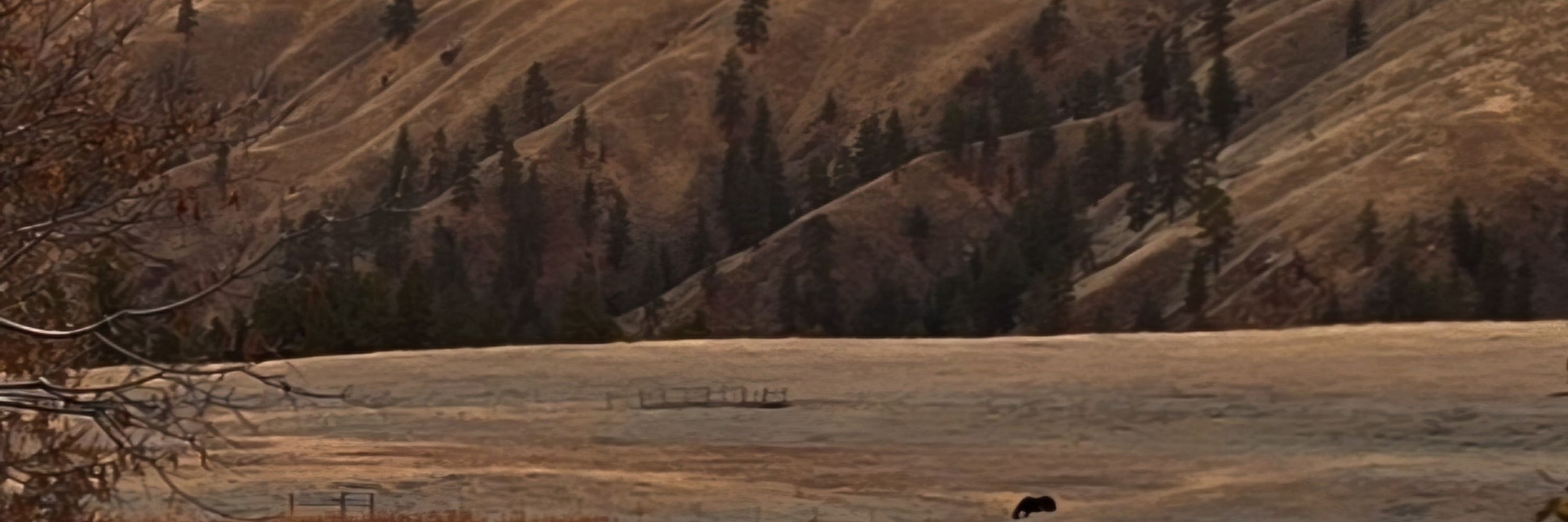 RancherGirl