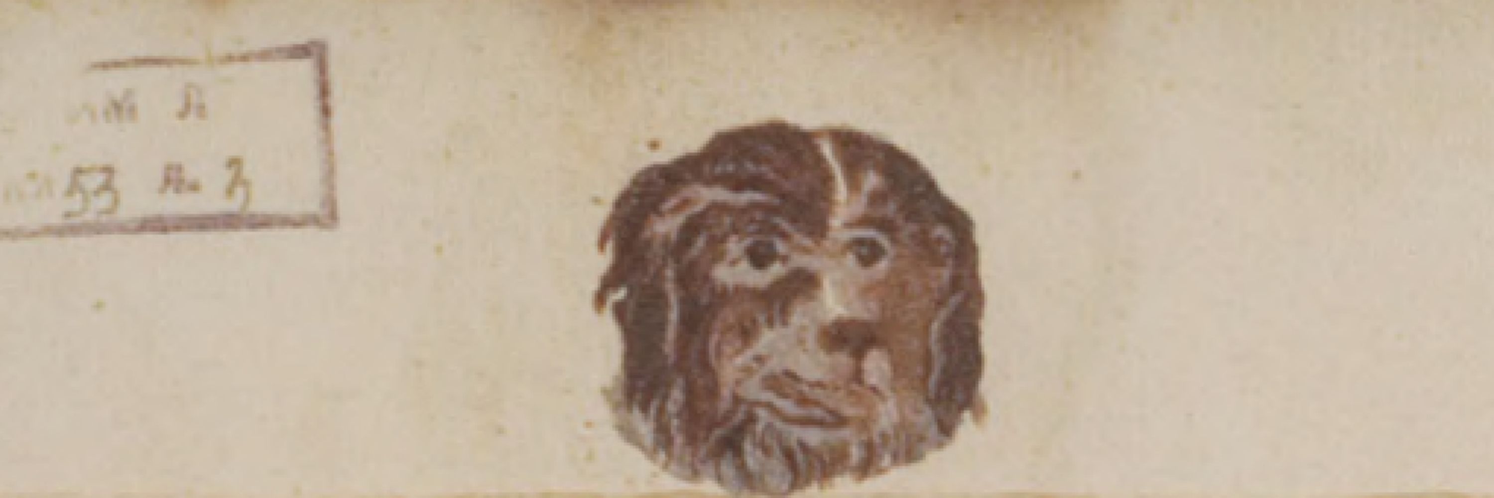 Stefano Villani