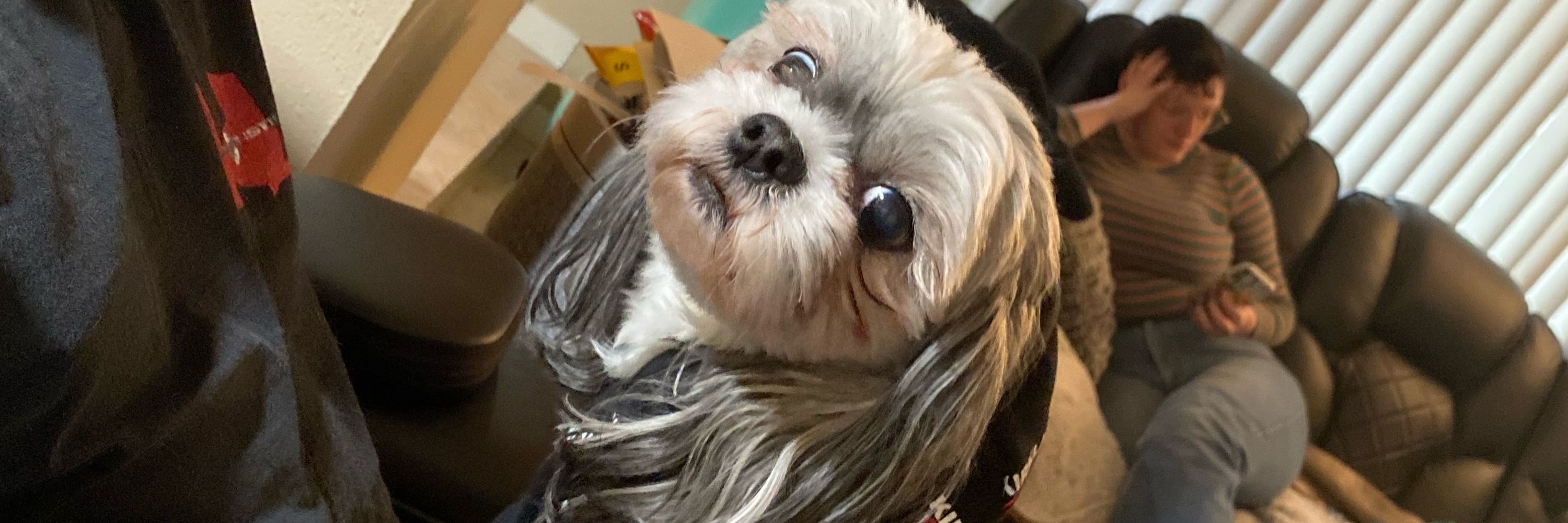 Thebougiebetic