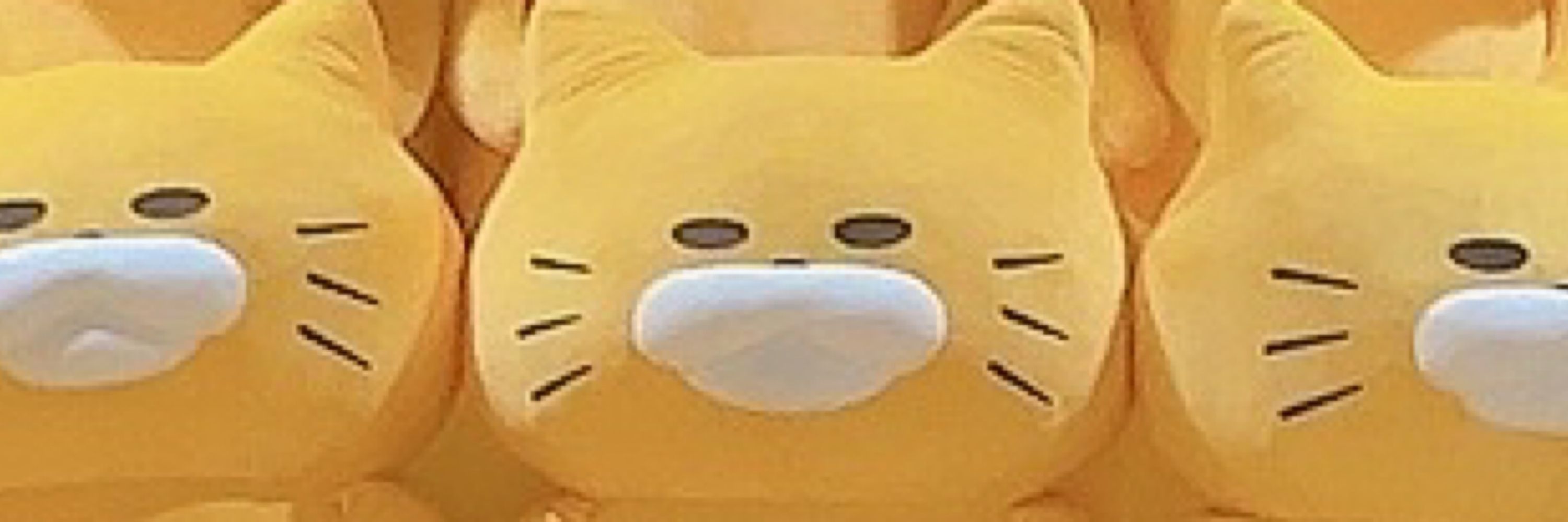 やわらかいぬの群れ