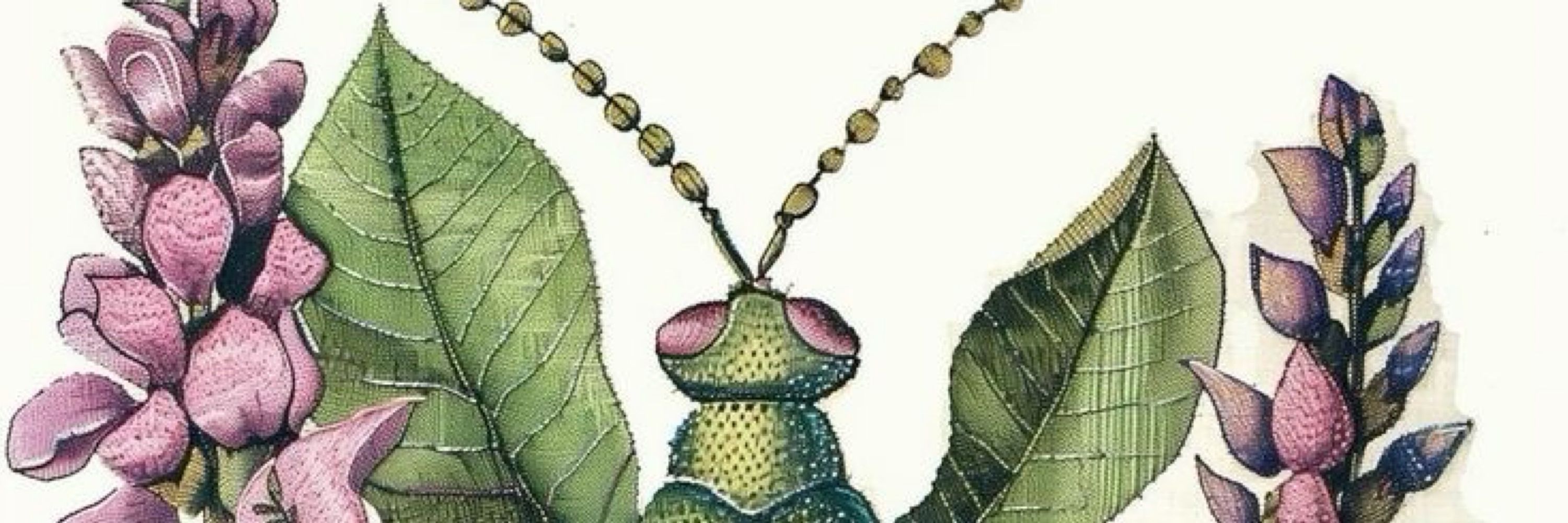 negrinimadu
