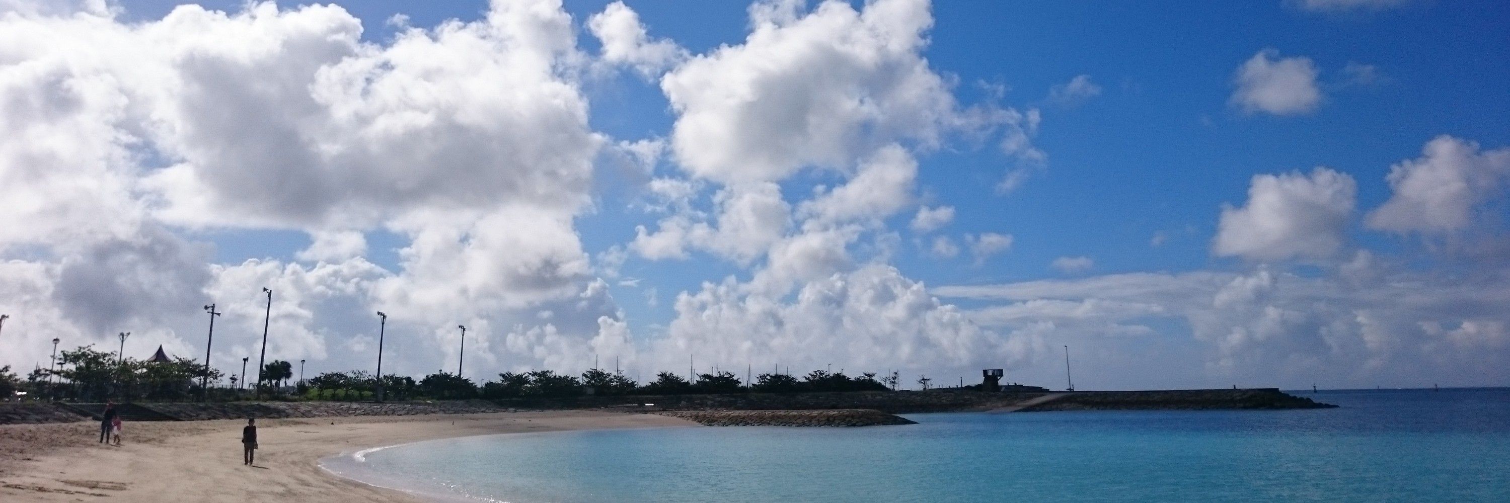 shinobou