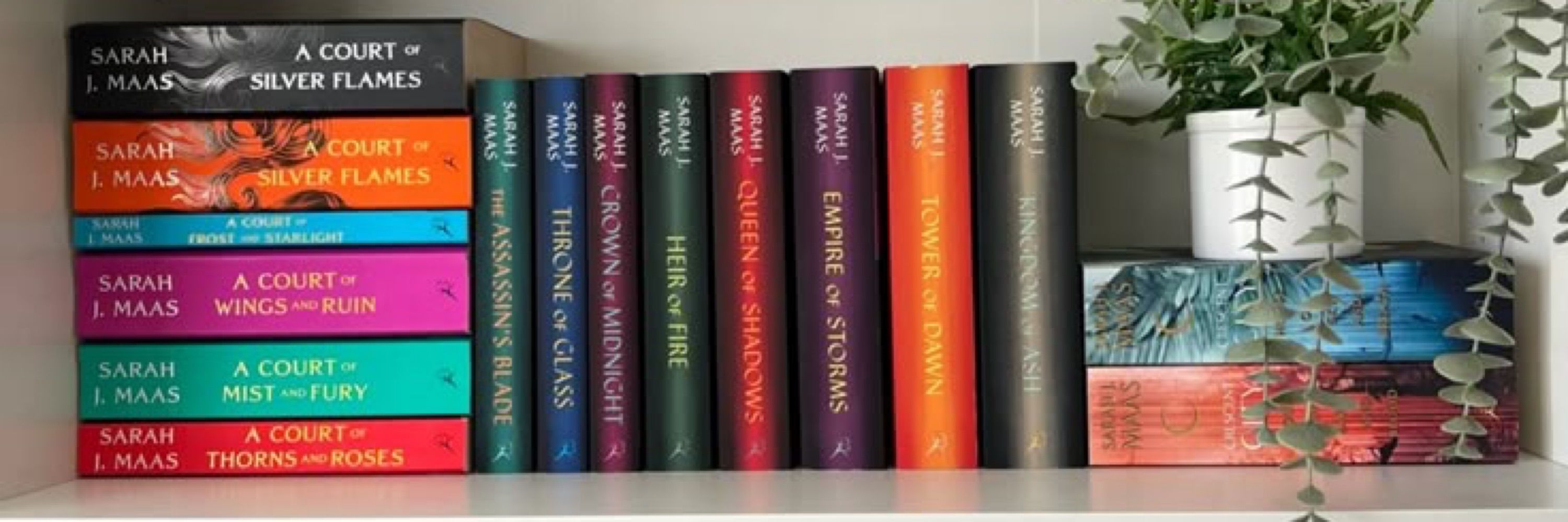 Reading is my job not a hobby