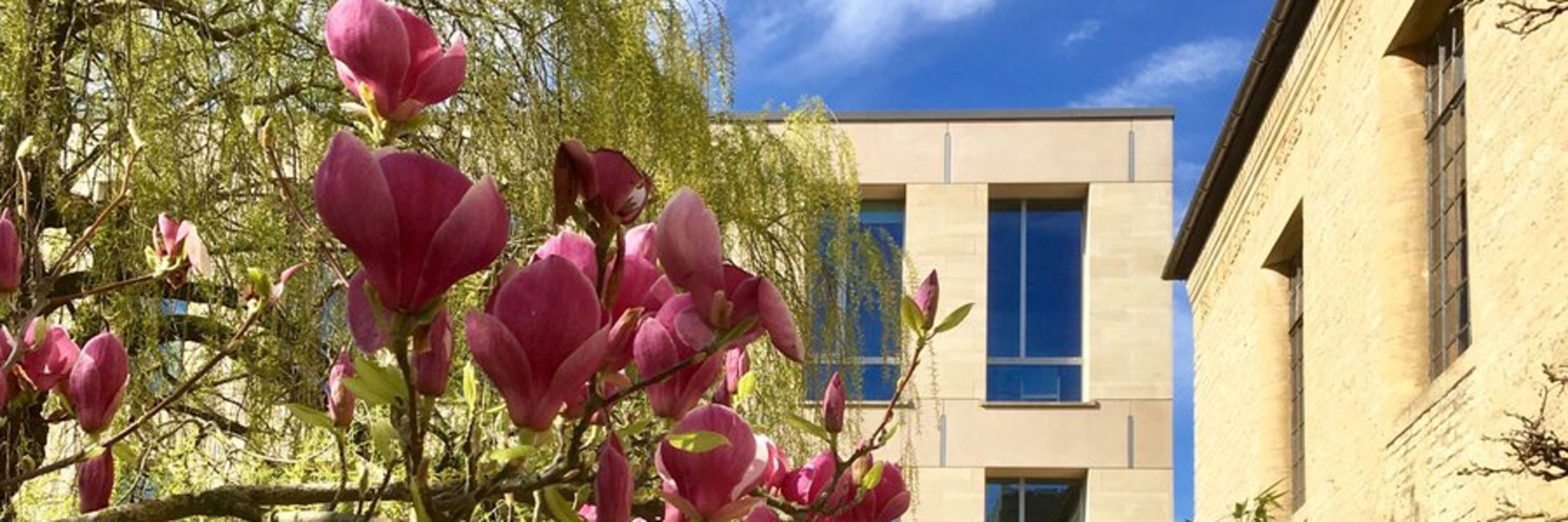 Centre for Personalised Medicine