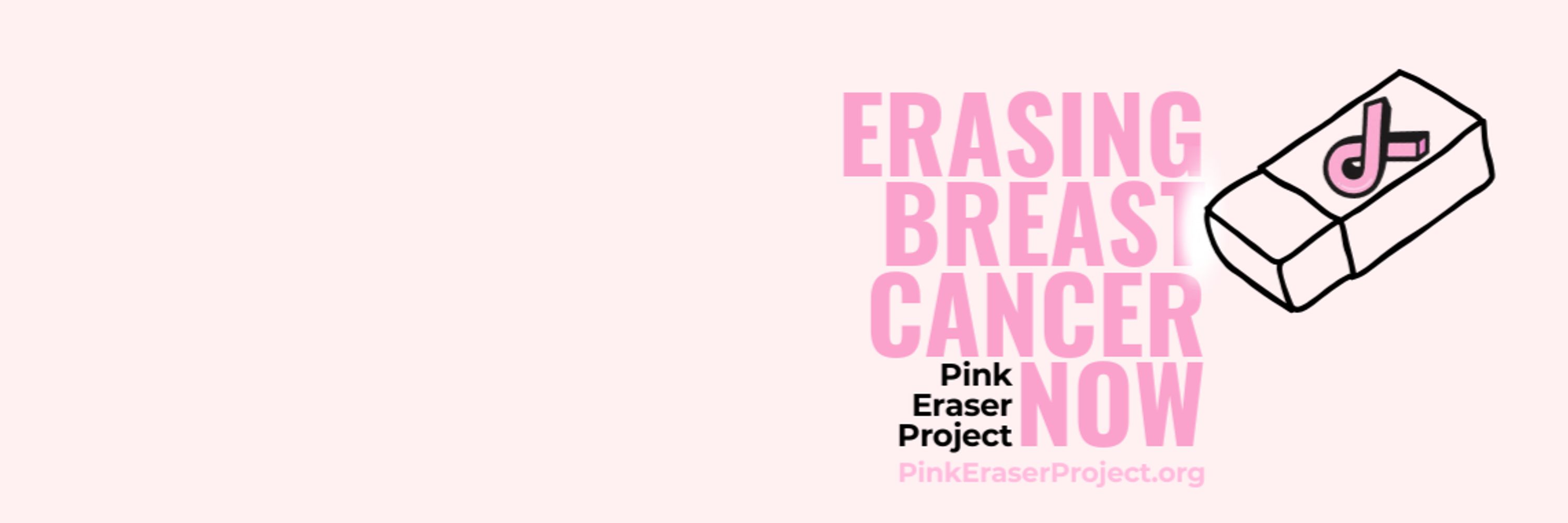 Pink Eraser Project