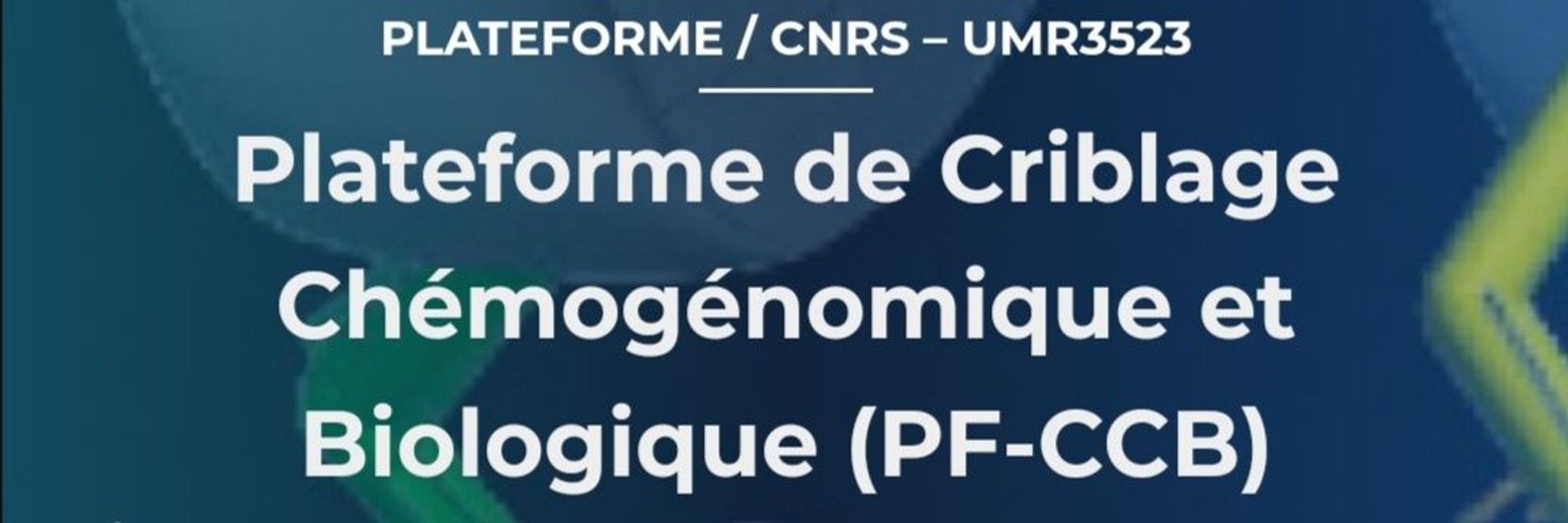 PF-CCB