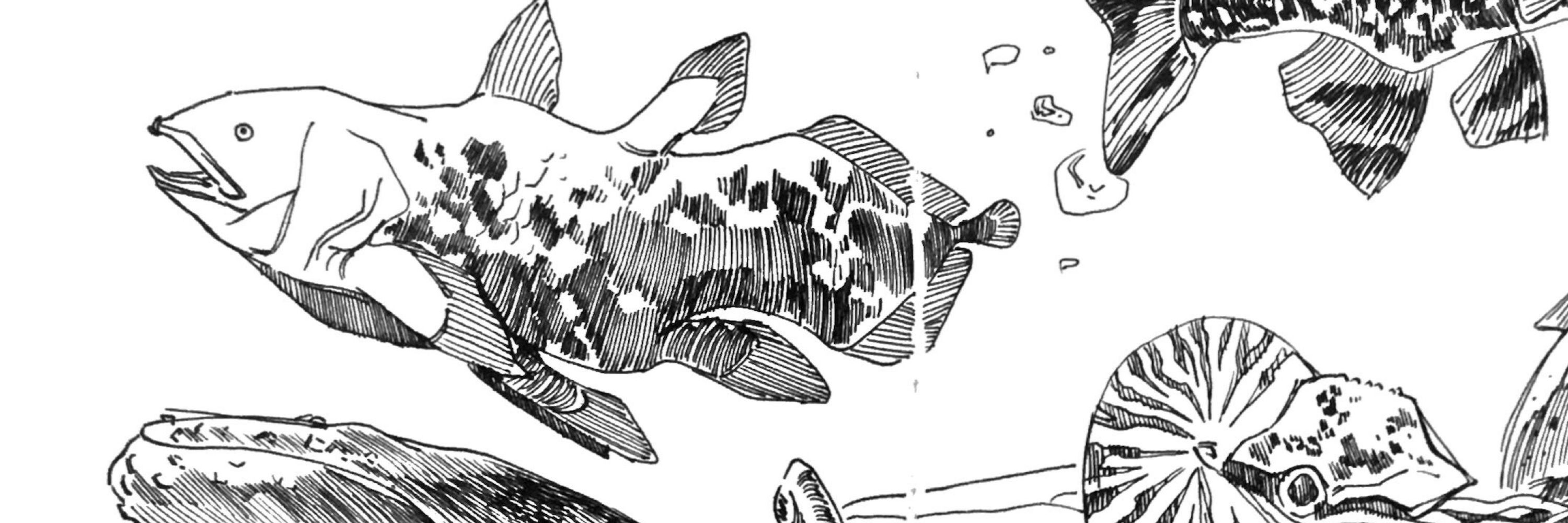 nen