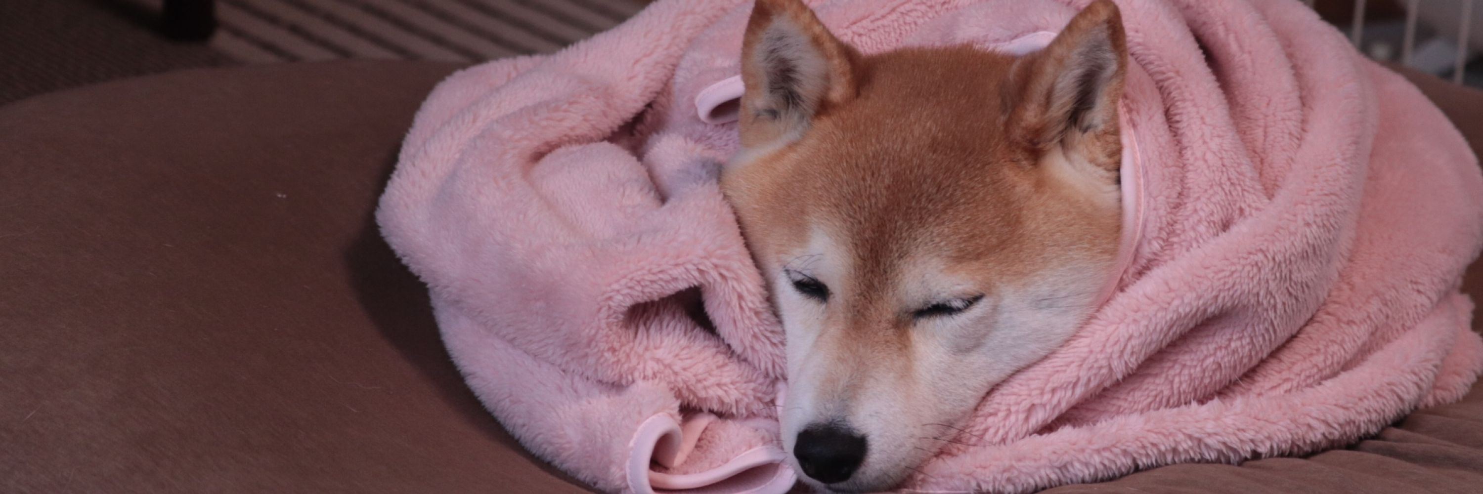 かれんぴ