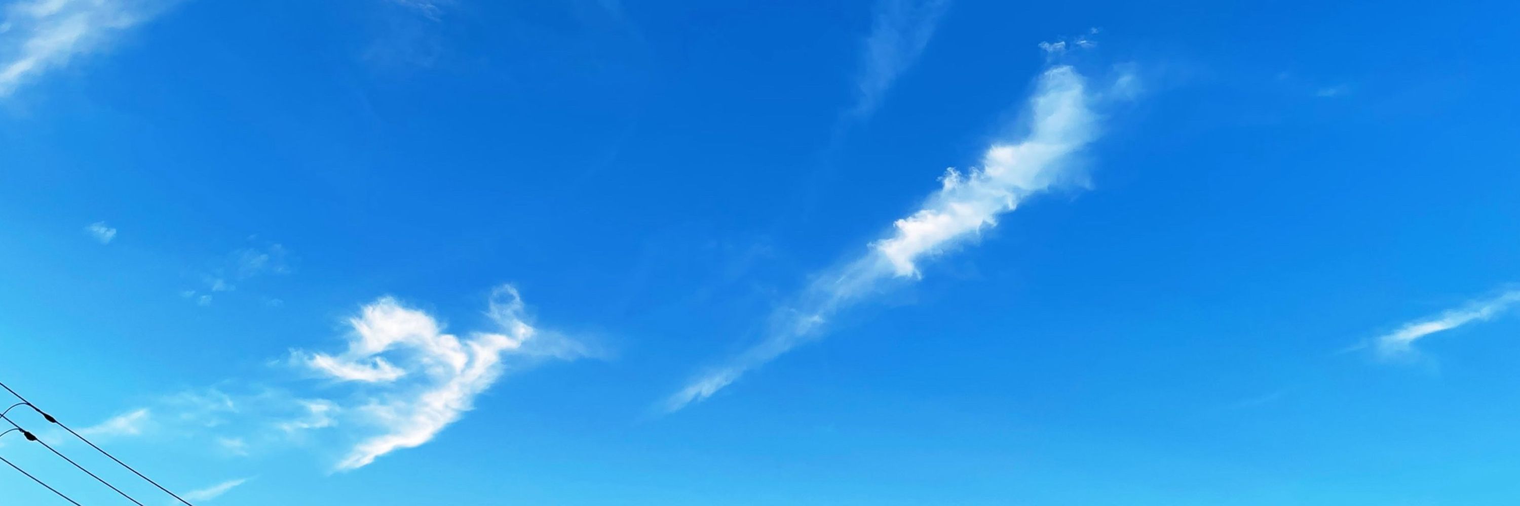 みき🕊