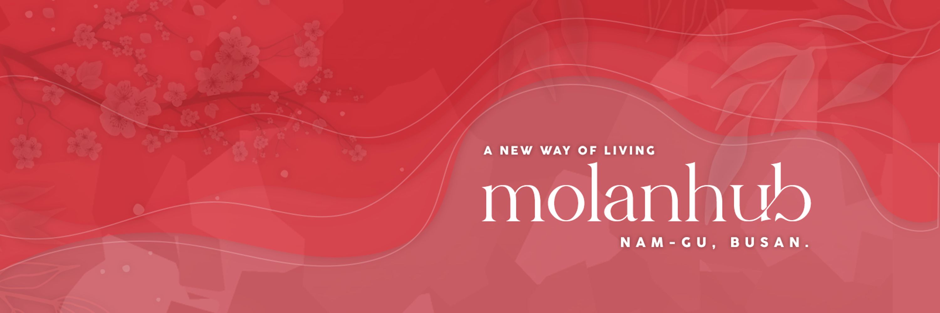 MOLANHUB HQ.