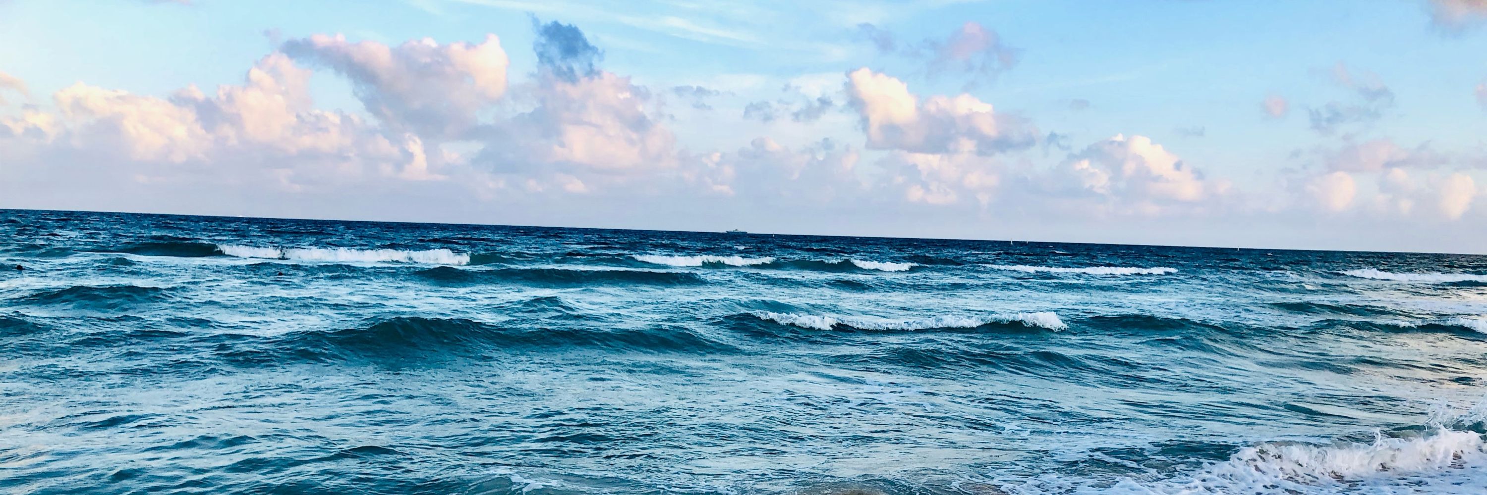 Windswept Coast 🌊