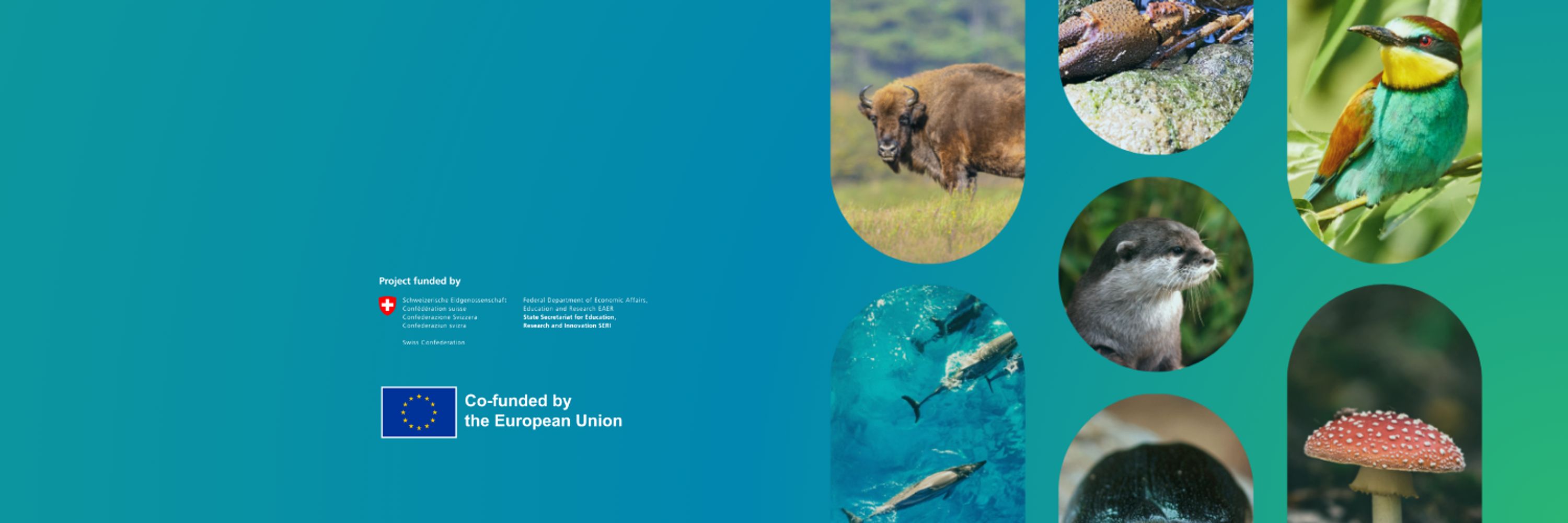 Biodiversity Meets Data