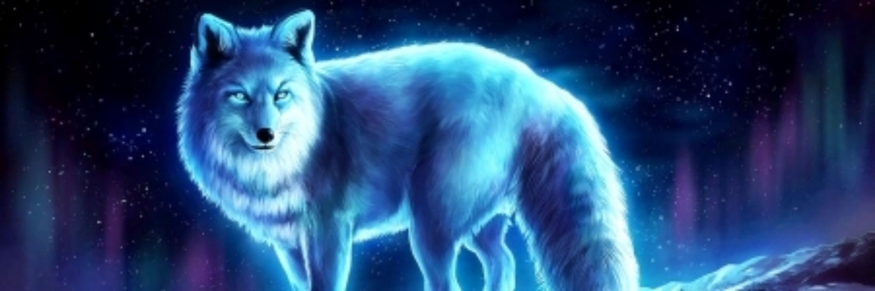 Dmitri Powers (BluFox Systm)