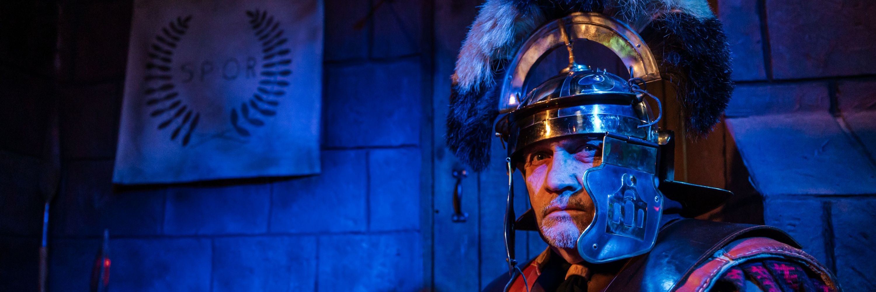 Deva Roman Experience