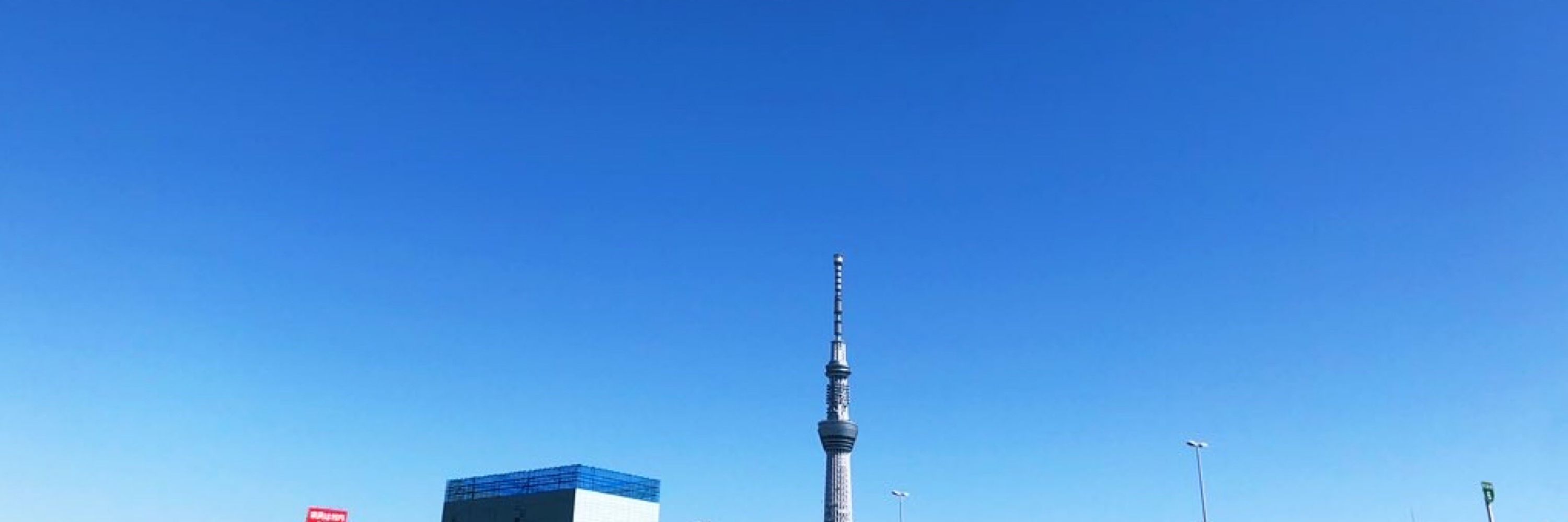 もちこ