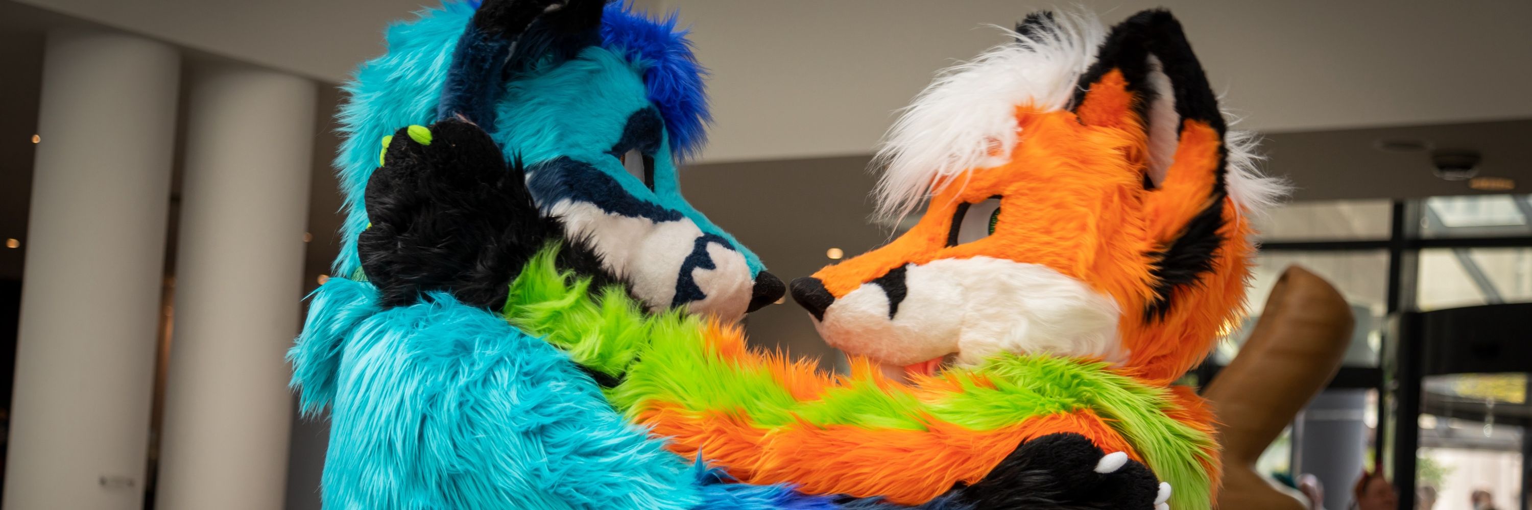 Kacec The Fox 🇩🇪 @EF @TFI @EAST