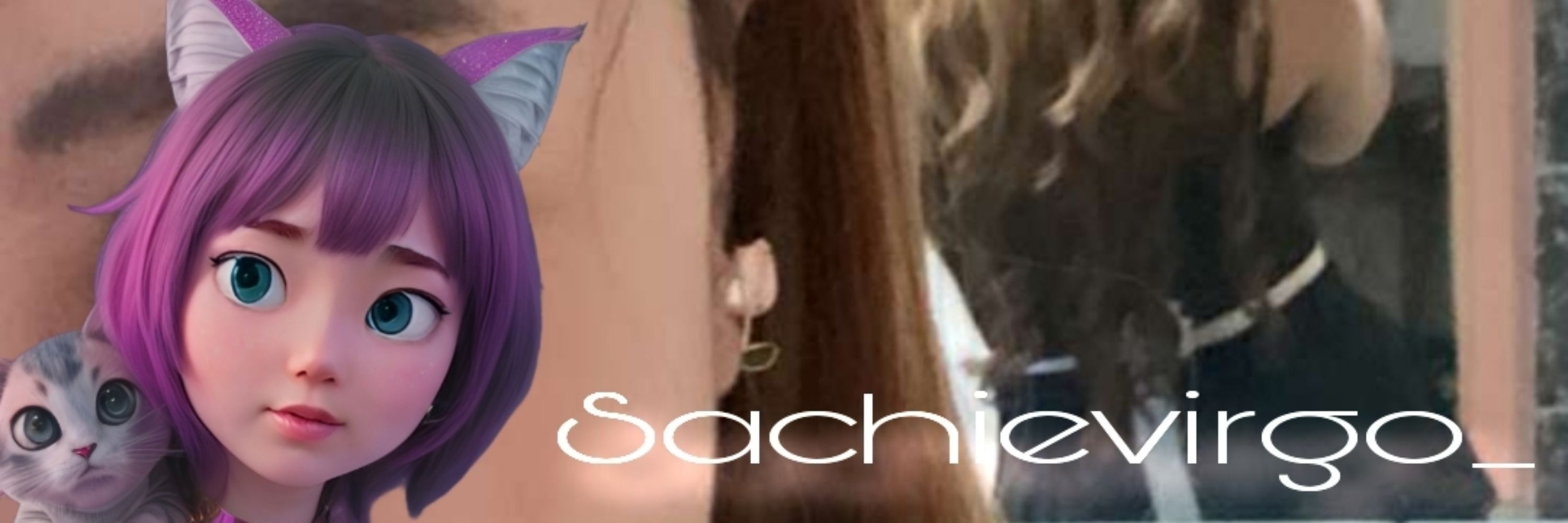 Profile banner