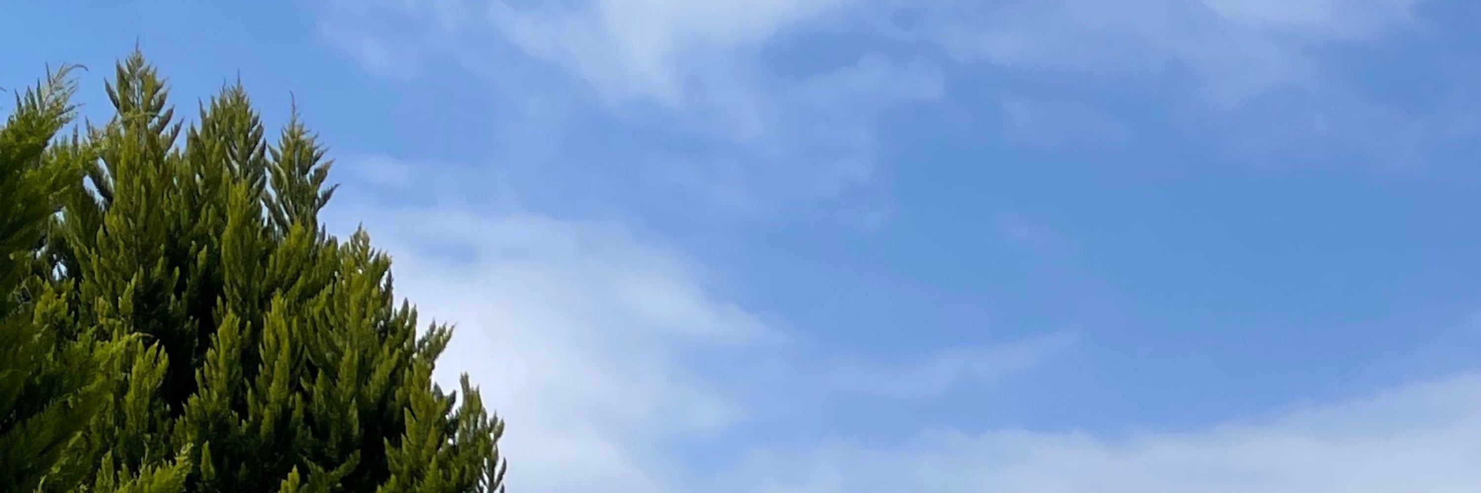 ایتابا