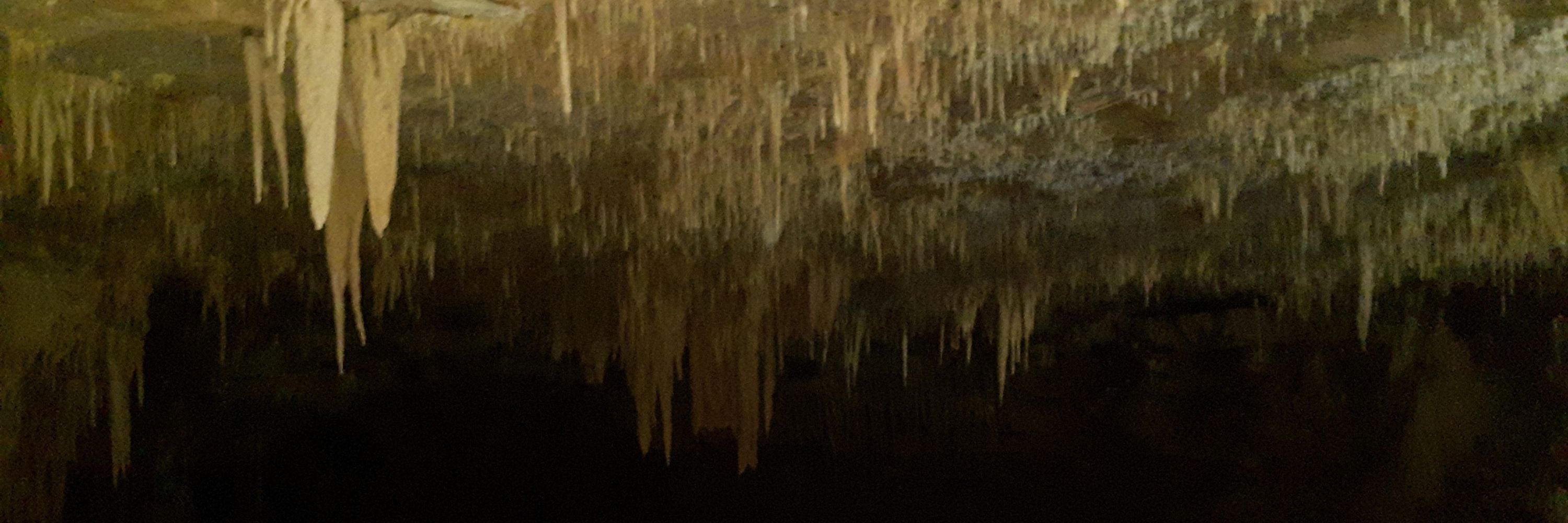 𓅻 𝗚𝗨𝗡𝗞 𓅻