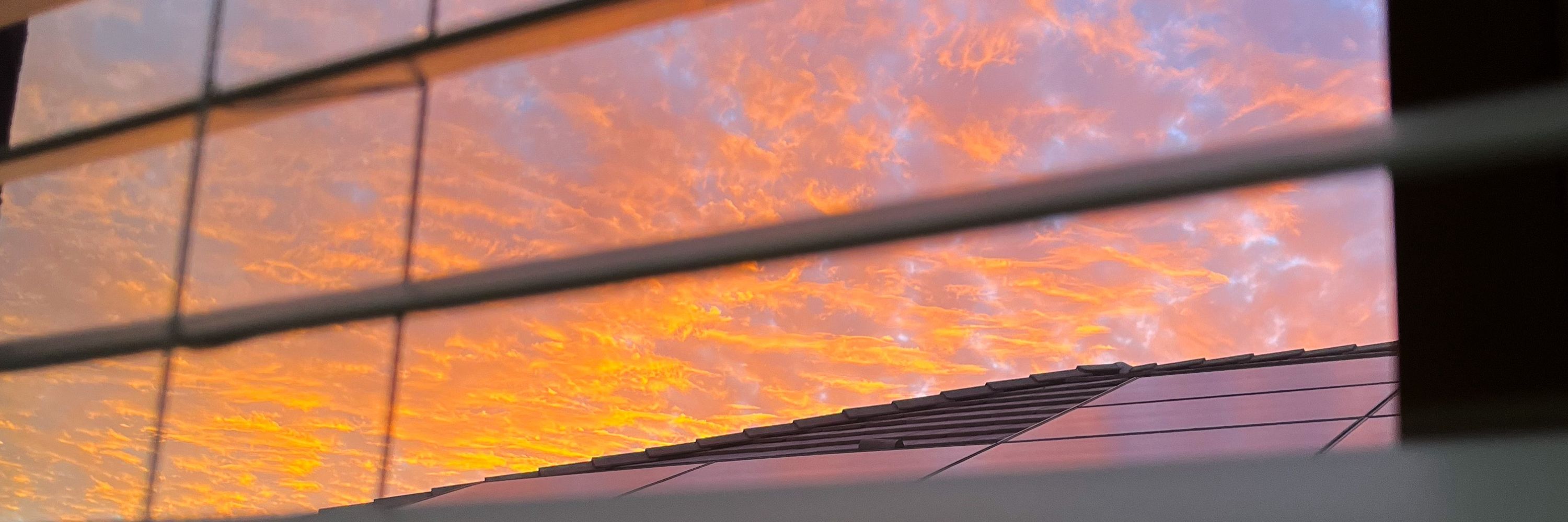 Dawn