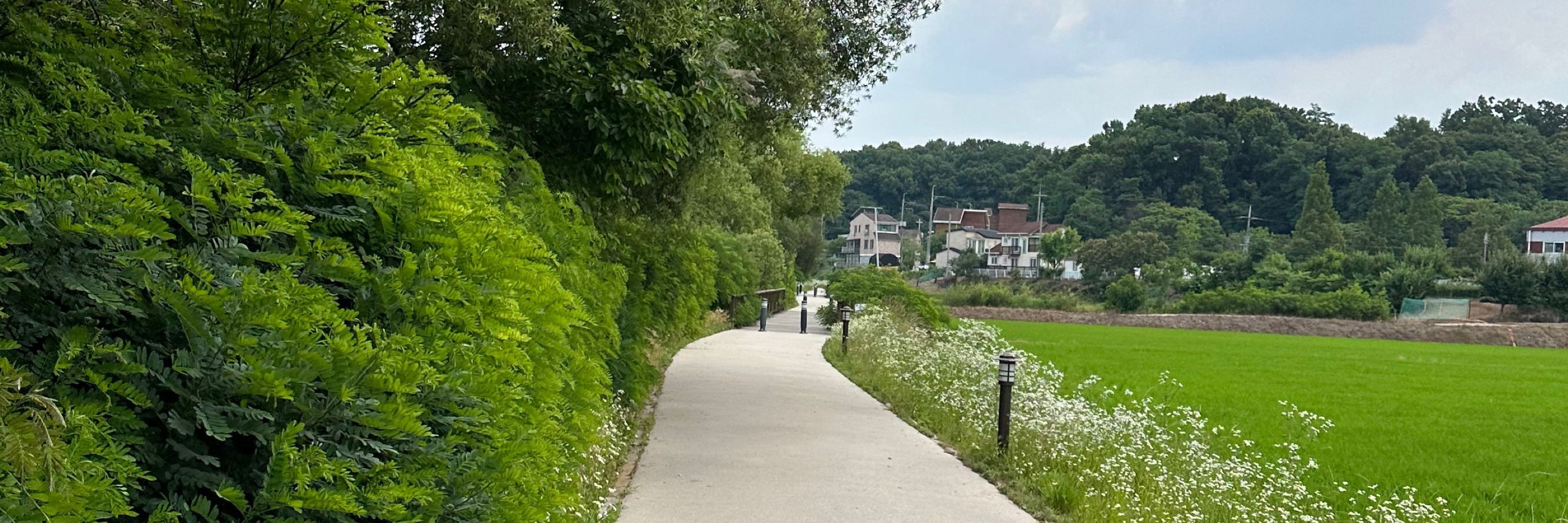 그림자21