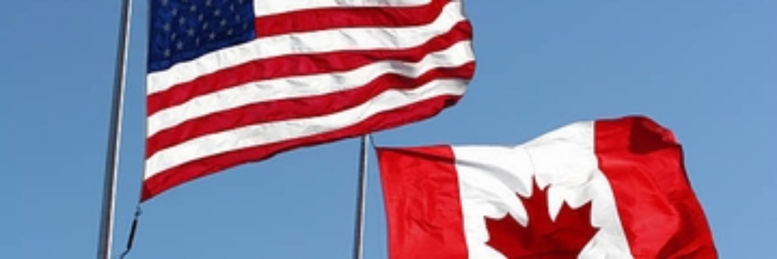 Cleanminds🇨🇦🇺🇸