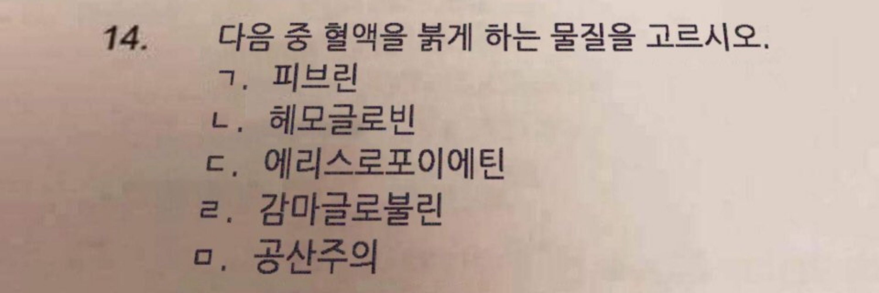 leekh(케이치)