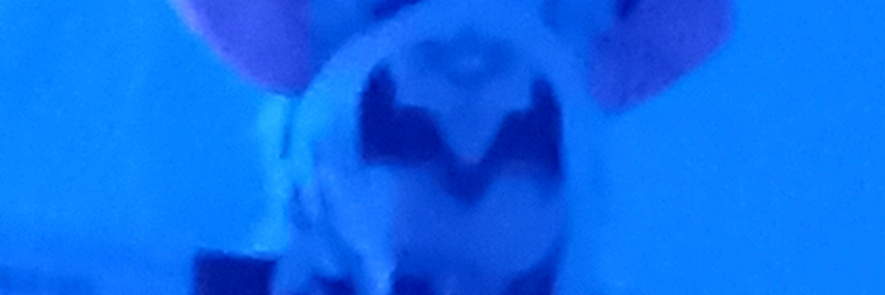  𝐋 𝐨 𝐧 𝐞 