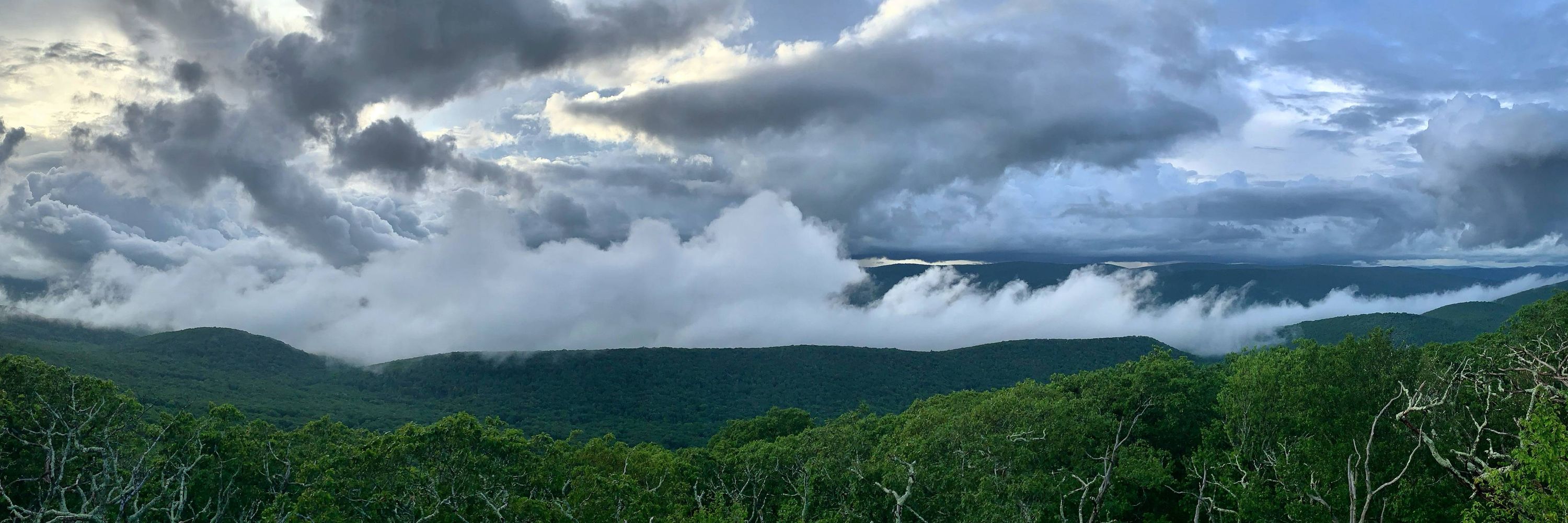 Mountain Lake Biological Station