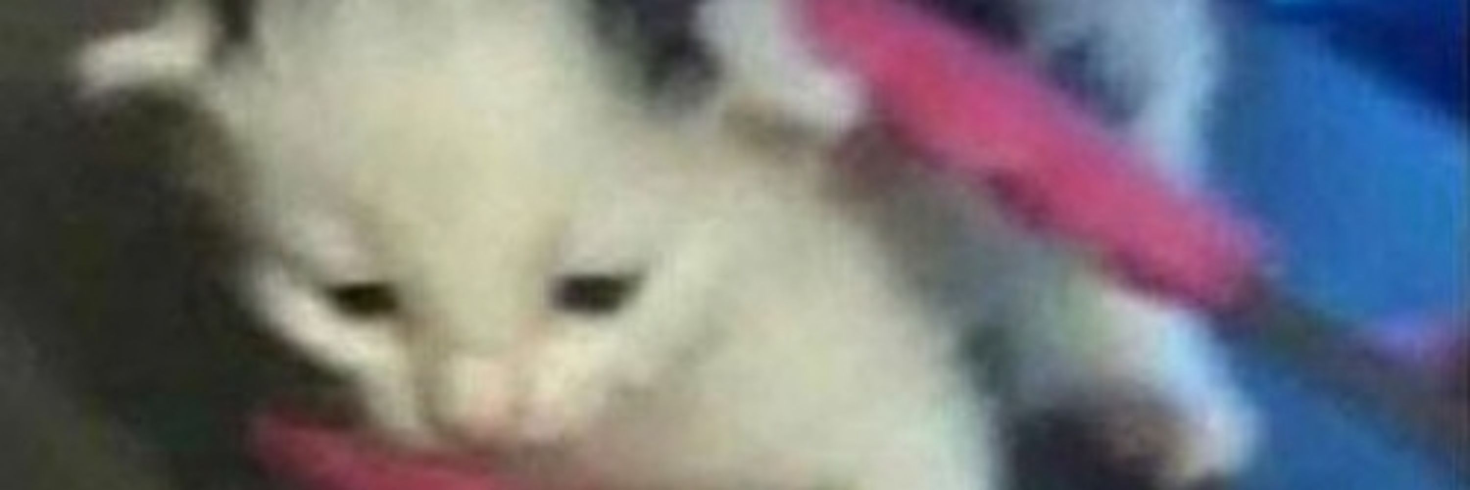 mel